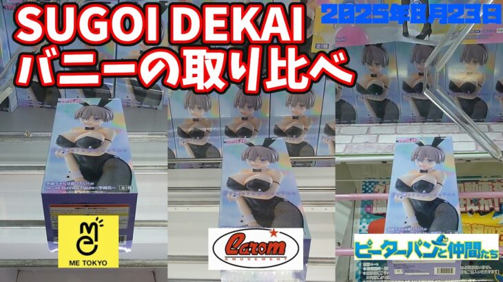 【クレーンゲーム】SUGOI DEKAIバニーの取り比べ 2025年8月23日獲得 #宇崎ちゃんは遊びたい #ロシデレ #魔女の旅々