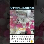 #クレーンゲーム #攻略 #確率無視 #シナモロール #シナモン  TikTok