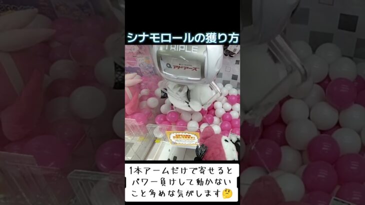 #クレーンゲーム #攻略 #確率無視 #シナモロール #シナモン  TikTok