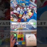 釣っちゃ王【公式】の休日… #釣っちゃ王 #クレーンゲーム #UFOキャッチャー #プライズゲーム #ゲームセンター #ゲーセン #釣り #釣りクレーンゲーム
