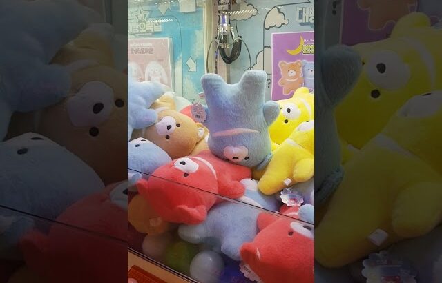 水色のツキノワグマをゲット！#クレーンゲーム #UFOキャッチャー #ぬいぐるみ #ツキノワグマ #黄色いくま #ゲット #ゲームセンター #かわいい #景品 #チャレンジ