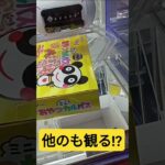 あっ⁉️普通に落ちた‼️　#おやつカルパス　#ゲーセン　#UFOキャッチャー　#クレーンゲーム　#攻略動画　#3時のおやつ　#お菓子　#お酒のつまみ 　#景品獲得方法　#みやっち劇場　#shorts