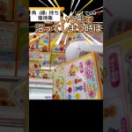 【クレーンゲーム】角（縁）持ち獲得集#クレーンゲーム#UFOキャッチャー#攻略#沼#プライズ獲得