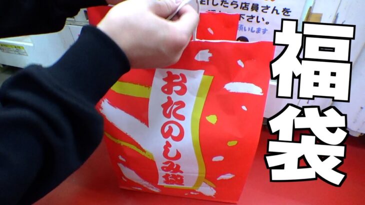 ゲーセンの福袋ってどうせお得にならないで詐欺になってるんでしょ？【クレーンゲーム／UFOキャッチャー】