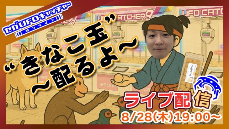大人気御礼！きなこ玉配りまくる配信！【セガUFOキャッチャーオンライン】