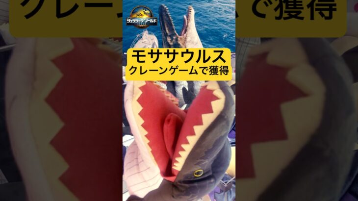 【コツ教えます】恐竜の頭を手前に！ #クレーンゲーム #UFOキャッチャー #ジュラシックワールド #モササウルス #jurassicworld #shorts