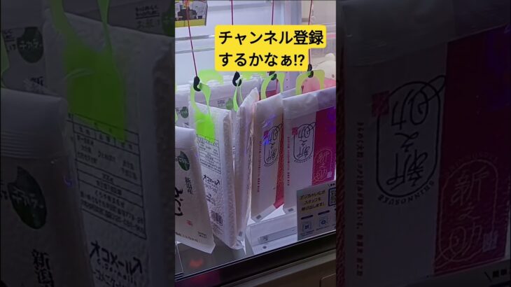 上手く切れるかな⁉️　#ひとめぼれ　#ゲーセン　#UFOキャッチャー　#クレーンゲーム　#一発台　#攻略動画　#オコメール　#お米　#大分久住産　#景品獲得方法　#みやっち劇場　#shorts