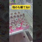 小物は掴まず弾くベシッ‼️　#仮面ライダーガヴ　#光るバッジ　#ヴラム　#ヴァレン　#ゲーセン　#クレーンゲーム　#UFOキャッチャー　#攻略動画　#景品獲得方法　#みやっち劇場　#shorts
