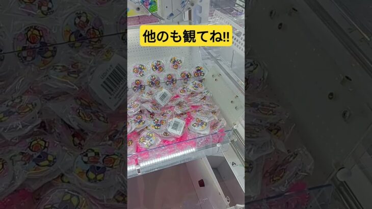 小物は掴まず弾くベシッ‼️　#仮面ライダーガヴ　#光るバッジ　#ヴラム　#ヴァレン　#ゲーセン　#クレーンゲーム　#UFOキャッチャー　#攻略動画　#景品獲得方法　#みやっち劇場　#shorts