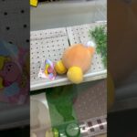 【UFOキャッチャー7】景品の隙間にアームを入れたりして狙うも取れなかった没動画 高音質 #クレーンゲーム #UFOキャッチャー #レトロゲーム