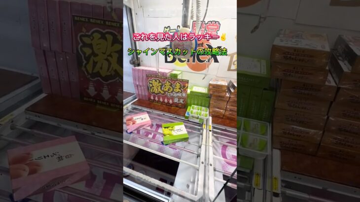 【攻略】シャインマスカット攻略 #clawmachine #japaneseclawmachine #ufoキャッチャー #クレーンゲーム #日本夾娃娃