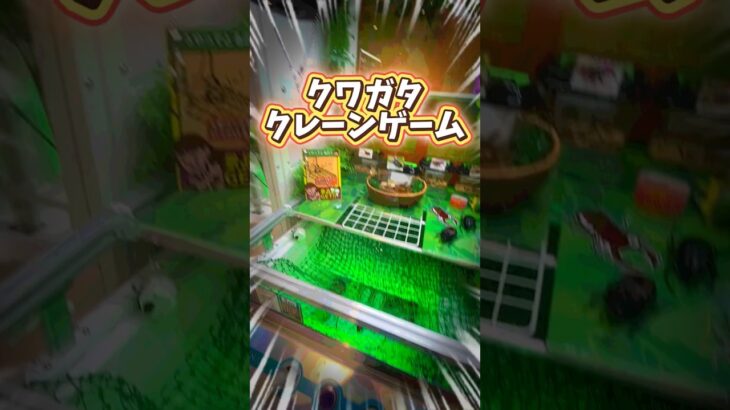 【攻略】クレーンゲームでクワガタ取るよ！ #clawmachine #japaneseclawmachine #ufoキャッチャー #クレーンゲーム #日本夾娃娃