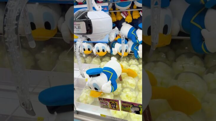 これはうまい！ドナルドゲット #ゲームセンター #クレーンゲーム #colonelkkjϟ #ゲーセン #japaneseclawmachine #ufoキャッチャー #ガチャガチャ#おたちゅう