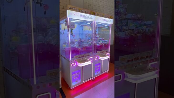 【台湾クレーンゲーム】シナモンの神引き！一発ゲットの奇跡｜いつものゲーセンに新台登場！#crane #クレーンゲーム攻略