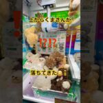 前回のリベンジに来たら、まさかのミラクルが起きたよ！#crane #クレーンゲーム #クレーンゲーム攻略 #ufoキャッチャー #つるなか  #クマさん #clawmachine