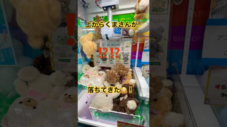 前回のリベンジに来たら、まさかのミラクルが起きたよ！#crane #クレーンゲーム #クレーンゲーム攻略 #ufoキャッチャー #つるなか  #クマさん #clawmachine
