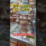《獲得口に出てるジョージ発見》#crane #クレーンゲーム #クレーンゲーム攻略 #ufoキャッチャー #こども #クレーンゲーム動画#clawmachine