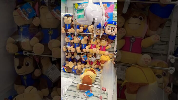 【パウパトロールぬいぐるみ取れるかな？ 】#crane #クレーンゲーム #クレーンゲーム攻略 #こども #ufoキャッチャー #cranelove