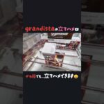 【クレーンゲーム】#とれとる米原店 さんでgrandista立てハメ狙った✌
