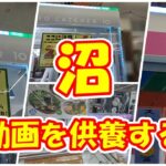【クレーンゲーム】【倉庫系】#万代山梨 で 沼動画を供養する!?  #jojo  #ジョナサン  #ディオ  #ジョセフ  #ベジータ   #アルベド #七草ナズナ #孫悟空 #ゴールドロジャー