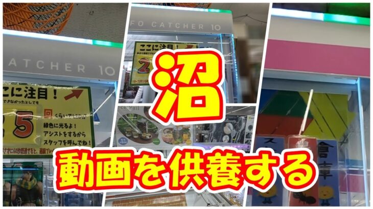 【クレーンゲーム】【倉庫系】#万代山梨 で 沼動画を供養する!?  #jojo  #ジョナサン  #ディオ  #ジョセフ  #ベジータ   #アルベド #七草ナズナ #孫悟空 #ゴールドロジャー
