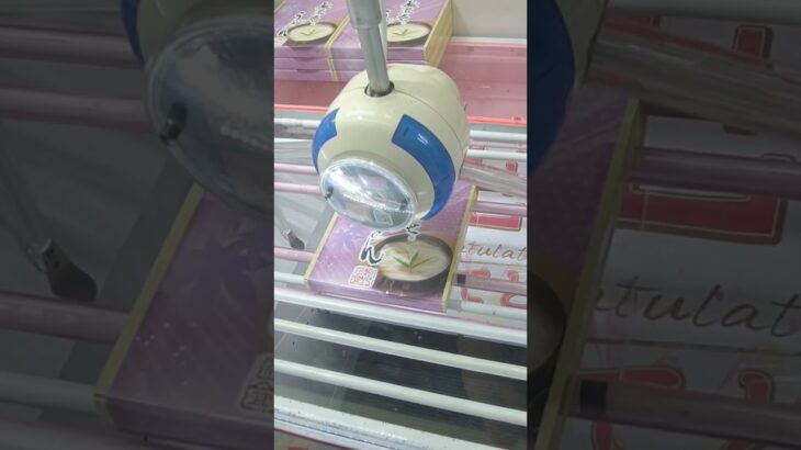 ベネクス浦和店のクレーンゲームでコシがあるうどんの景品をゲット #shorts