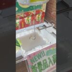 万代書店山梨本店のクレーンゲームのリング台でじゃがりこサンダルの景品をゲット #shorts
