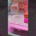 万代書店山梨本店のクレーンゲームのリング台でワッフルとポッキーの景品をゲット #shorts