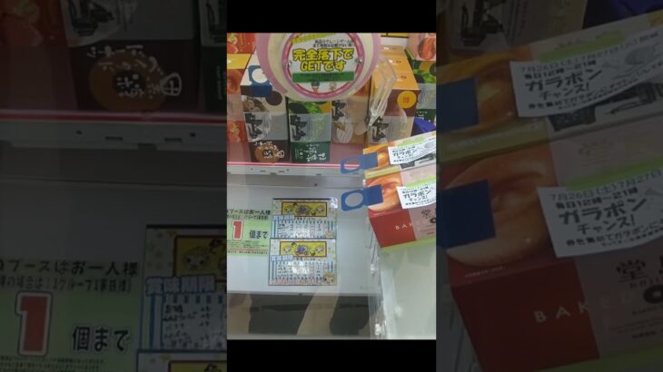 千葉鑑定団湾岸習志野店のクレーンゲームで堂島ドーナツの景品をペラ輪に入れてゲット #shorts