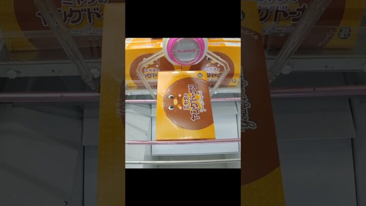ウェアハウス岩槻店のクレーンゲームで縦長の箱の景品をゲット #shorts