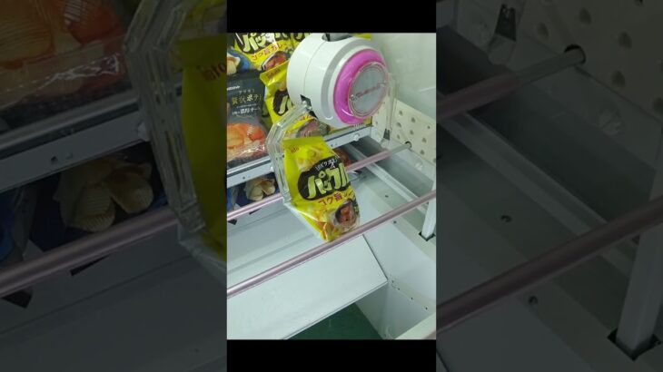ウェアハウス岩槻店のクレーンゲームでポテチ袋の景品をゲット #shorts