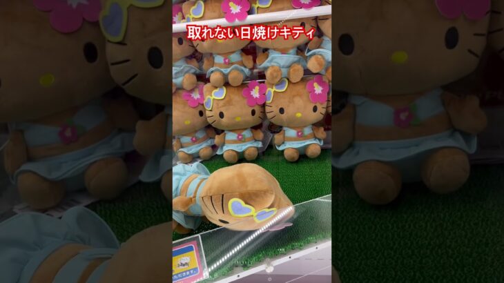 欲しかった日焼けキティ #shorts #sanrio #サンリオ #ゲーセン #ゲーム #クレーンゲーム #ufoキャッチャー # #ガチャ 日焼け #キティ #日焼けキティ #ぬいぐるみ