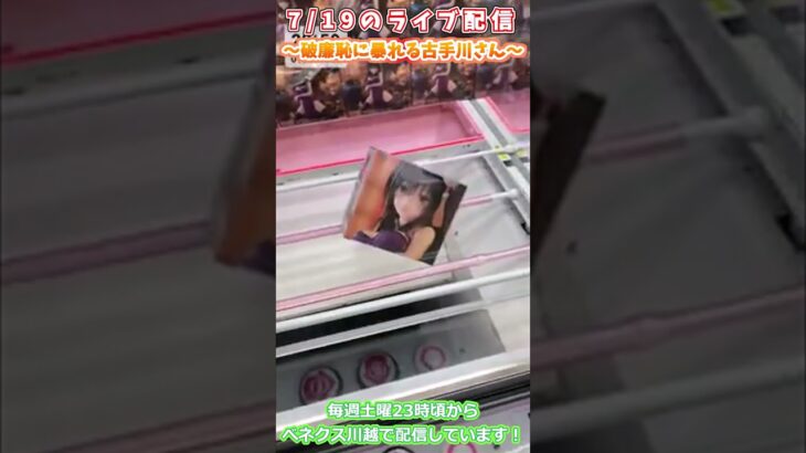 暴れた末、良い所に落ち着く古手川さん　#shorts   #クレゲ #クレーンゲーム #ufoキャッチャー #ゲーセン #フィギュア #橋渡し