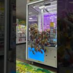 取りすぎちゃって危うく出禁!?#shorts #クレーンゲーム #ufoキャッチャー #ゲーセン #clawmachine #arcade #funny #tiktok