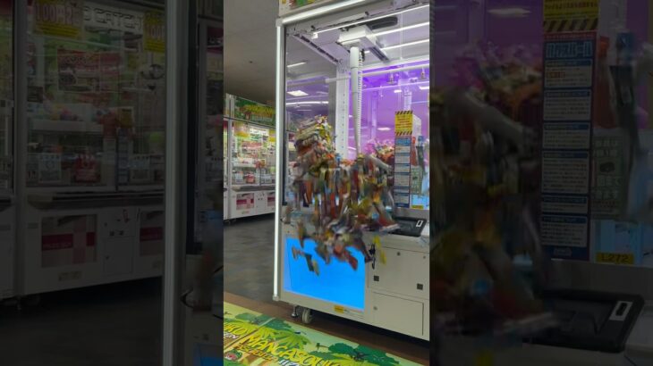 取りすぎちゃって危うく出禁!?#shorts #クレーンゲーム #ufoキャッチャー #ゲーセン #clawmachine #arcade #funny #tiktok