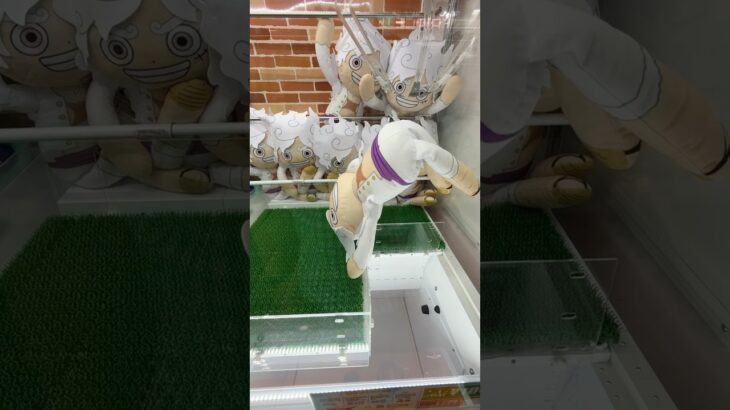 取りすぎちゃってごめんなさい#shorts #クレーンゲーム #ufoキャッチャー #ゲーセン #clawmachine #arcade #funny #tiktok
