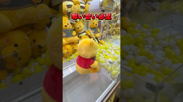 真夏のビンゴ大会って、なぜか盛り上がるよね？ #shorts #クレーンゲーム #ufoキャッチャー #cranegame