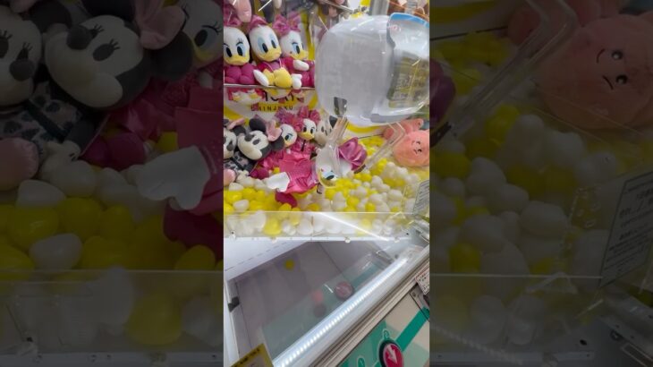 【ジャケットフォトデイジーを実力で攻略！】#shorts #viralshorts #クレーンゲーム #ゲームセンター #ufoキャッチャー #clawmachine #donaldduck