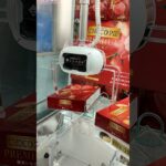 【その４】ハヤッチ取れるか取れない！？キャッチャーチャレンジ〜攻略法が知りたい〜#shorts#クレーンゲーム#ufoキャッチャー#ゲーセン#ゲームセンター#ゲーム#ハヤッチ