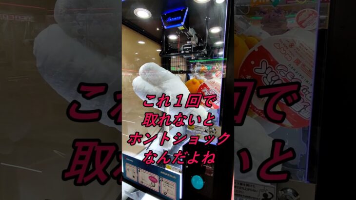 【その６】ハヤッチ取れるか取れない！？キャッチャーチャレンジ〜攻略法が知りたい〜#shorts#クレーンゲーム#ufoキャッチャー#ゲーセン#ゲームセンター#ゲーム#ハヤッチ