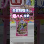 【trivial matters】渡橋機實戰分享: 垂直對齊法-縦ハメ發動 TVアニメ「らんま1/2」 Luminasta “天道あかね”