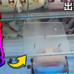 【見つかったら怒られる❓】フックに引っ掛けるクレーンゲームの攻略法❗️#ufoキャッチャー