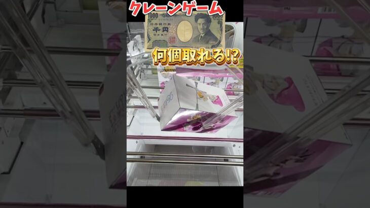 #ufoキャッチャー #クレーンゲーム #クレーンゲーム攻略 #ベネクス