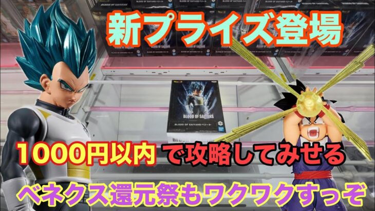 新商品登場から二日目の設定をプレイ‼︎攻略できるのか？ #クレーンゲーム #ufoキャッチャー #ベネクス川越