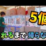 【クレーンゲーム】少年のチャレンジ!!帰れません企画がまさかの展開になりました【ufoキャッチャー 回遊館】