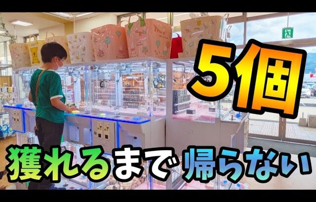 【クレーンゲーム】少年のチャレンジ!!帰れません企画がまさかの展開になりました【ufoキャッチャー 回遊館】