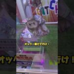 #クレーンゲーム #ゲームセンター #ufoキャッチャー 登録してね！#ラブブ #クレーンゲーム攻略