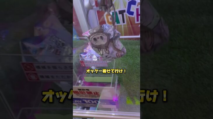 #クレーンゲーム #ゲームセンター #ufoキャッチャー 登録してね！#ラブブ #クレーンゲーム攻略
