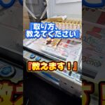 【 クレーンゲーム 】チョコパイ、この攻略は？？#クレーンゲーム#ufoキャッチャー #ゲームセンター