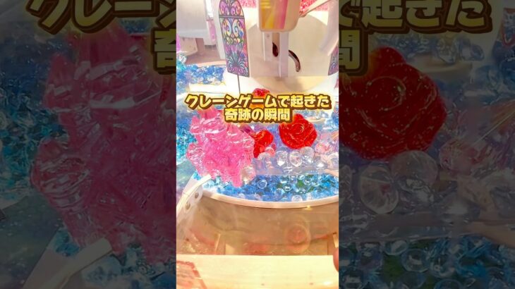 これ取るのにいくらかかると思ったかコメントして😇#クレーンゲーム攻略 #クレーンゲーム #確率無視 #ゲーセン #ufoキャッチャー #大量ゲット #ゲームセンター #ゲーセン